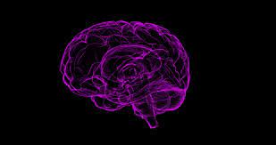Create your logo design online for your business or project. Biogen Idec Inc Nasdaq Biib Eli Lilly And Company Nyse Lly 5 Biogen Analysts On Fda Approval Of Alzheimer S Drug Aduhelm Broad Label Pricing Benzinga