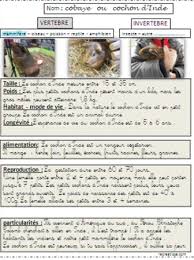 Epingle Sur Deuxieme