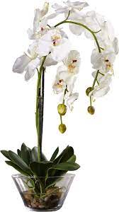 Faux White Phalaenopsis Orchid In Glass Vase Orchid Flower Arrangements Flower Vase Arrangements Flower Arrangements