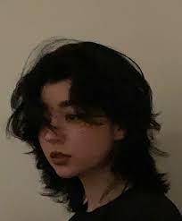 M21 Want to get a wolfcut? (Haircut) Do you guys have any salon  recommendations? : r/Chennai