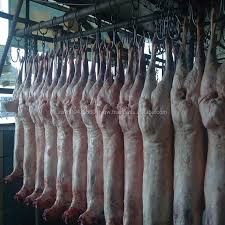 1) zenkai meat co., kumamoto, japan 2) nishiawa beef ltd, tokushima, japan (both slaughterhouse also inspected by veterinary and jakim of malaysia) Is Beef Bacon Haram