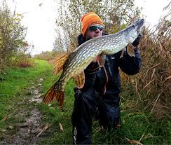 Pike fishing