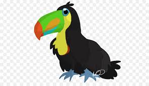Vogel Zeichnen Tukan Papagei Zeichnung Toucan Png Herunterladen 1024 576 Kostenlos Transparent Papagei Png Herunterladen