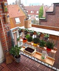 Whether you have a small patio garden, a rooftop garden, a balcony garden, or a big backyard garden this list of best shrubs for containers will provide you so many options to choose from. 12 Tiny Garden Ideas To Dress Up Your Balcony