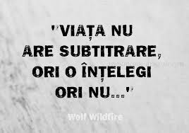 Pin On Citate Celebre Curiosa
