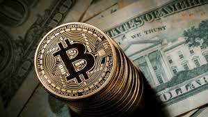 Homer simpson bitcoin dance gif (viralchop.com). Blockchain Bitcoin And Public Policy Harvard Kennedy School New England Alumni Association