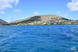 Ocean Defenders Alliance