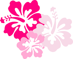 Hibiscus Pink Hi Png 600 490 Fleurs Hawaiennes Dessin Fleur Pour Peindre