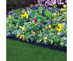 What allowed us to feature this as our best no dig landscape edging is that you can easily install it on your lawn without the need for hiring. 100 No Dig Garden Edging Kit Black Easyflex Buy Online In Angola At Angola Desertcart Com Productid 136498699