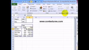 Excel Pivot Table Slicers