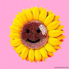 Smile Sunflower In 2021 Creative Art Santa Pop Art