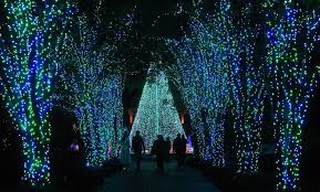 Take A Walk Through Atlanta Botanical Gardens For Their Holiday Nights Garden Lights Atlanta Botanical Garden Holiday Lights Holiday Nights