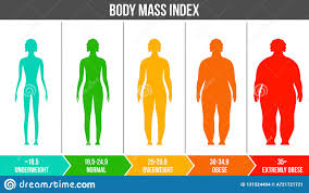 Creative Vector Illustration Of Bmi Body Mass Index