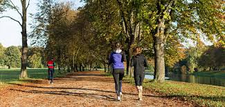 1 für regionale adressen entdecken! 5 8 Kilometer Laufstrecke Um Den Decksteiner Weiher Koeln De