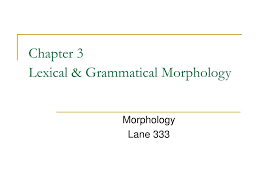 Content morphemes express a concrete meaning or content, and function morphemes have more of a grammatical role. Ppt Chapter 3 Lexical Grammatical Morphology Powerpoint Presentation Id 214724