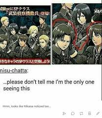 Shingeki No Kyojin Memes Attack On Titan Anime Attack On Titan Attack On Titan Meme