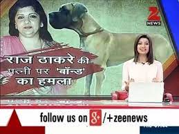Once raj labeled chhath puja, a festival popular in. Raj Thackeray S Wife Undergoes Plastic Zee News English