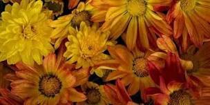 NJ Audubon Digital Photography Workshop: Flower Photography