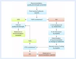 modified delphi process flow chart after the development of