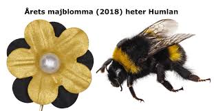 Bildresultat för majblomma 2018