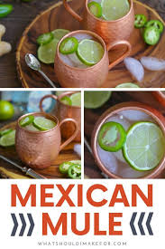 Mexican Mule Recipe Beer Recipes Beer Recipes Homebrew Beer Recipes Dessert
