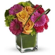 Where we deliver to albany florist and gifts offers beautiful flower delivery in albany, designed and arranged just for you. Same Day Flowers In Albany Ga Flower Delivery From Local Florists 1st In Flowers