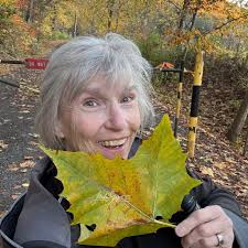 Why do people post "I just want to introduce myself and share a picture I  took." and then share a picture without introducing themselves? 🤔 View  from the Historic Lumberville-Raven Rock Suspension