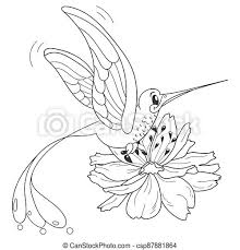 We did not find results for: Coloring Page With Hummingbird Coloring Book Page For Kids With Cute Cartoon Hummingbird And Tropical Flower Vector Canstock