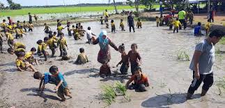 Pilihan rumah penginapan pelbagai untuk saiz keluarga yg d' idaman chalet dan homestay. Kembara Ilmu Tadika Pintar Al Quran Temerloh Ke Homestay Sungai Haji Dorani Kuala Selangor Ezakat
