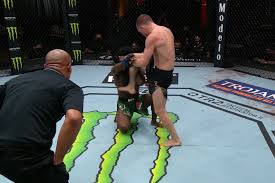 Aljamain sterling is the new ufc bantamweight champion after this illegal knee disqualified petr yan #ufc259. Va Qcibyxjseym