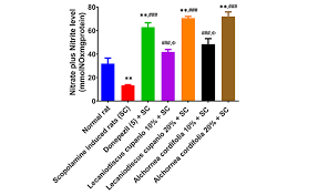 Image result for Lecaniodiscus