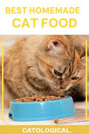Best Homemade Cat Food Recipes Raw Or Cooked Make Your Own Homemade Cat Food Natural Cat Food Cat Food