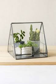 4040 Locust Beach House Terrarium Planting Flowers Indoor Plants Plants
