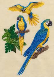 Sunbonnet Sue Tropical Blue And Yellow Macaw Collage Computer Embroidery Machine Embroidery Designs Embroidery Patterns