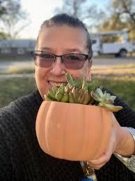 Tips for passive neglect of succulents