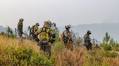 Active Wildfires in Spain Prompt Widespread Evacuations and Detentions