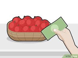 While they can be grown from seeds, this is somewhat difficult so it is. How To Grow A Lychee Tree With Pictures Wikihow