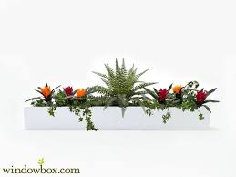 It's just plain sad to watch window box plants die off at the end of a long growing season. Ornamental Tropical Foliage Arrangements Fit Standard Size