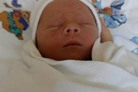 Podívejte se na miminka narozená v Ústeckém kraji ve 13. týdnu roku 2023