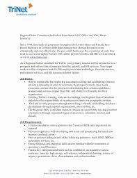 Regional Sales Manager Job Description Elegant Trinet Regional Sales Consultant Job Description Job Description Region Monthly Budget Template