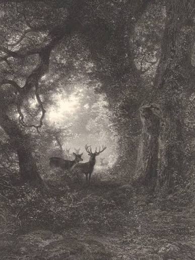 Archaeology & Art | Deer in a Forest (Herten in een bos) by Adolphe Mouilleron (lithographer) after Karl Bodmer (draughtsman). Date: 1859. Medium: Lithograph... | Instagram