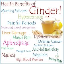 They're especially good at halting growth of bacteria like e.co. Health Benefits Of Ginger Smiling Body