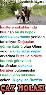 Gercek Bir Dostluk Hikayesi Gercekler Komik Fikralar Komik