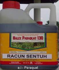 Contoh racun tidak selektif adalah seperti paraquat dan 4. Anim Agro Technology Herbicide Kontak Dan Sistemik
