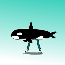 Killer Whale Walk Cycle Gif By Evanredborja Find Share On Giphy Share a gif and browse these related gif searches. killer whale walk cycle gif by