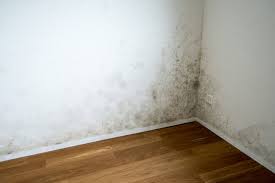 Check spelling or type a new query. Probleme D Humidite Au Sous Sol 3 Symptomes Faciles A Identifier Video