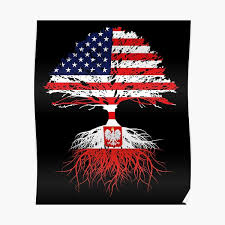 Polska flaga) consists of two horizontal stripes of equal width, the upper one white and the lower one red. Poland Posters Redbubble