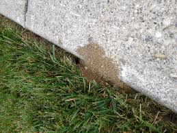 Maybe you would like to learn more about one of these? What S Making All Of Those Holes Purdue Extension Forestry Natural Resources