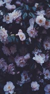 Flowers Tumblr Background Iphone Wallpaper Beautiful 50 Ideas For 2019 In 2020 Wallpaper Quotes Beautiful Flowers Wallpapers Cute Backgrounds