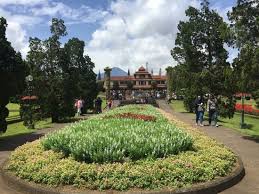 Taman bunga puncak tonang cantiknya takkalah jauh dengan kebun bunga yang ada di jepang. Another Option Of Flower Garden In Puncak Review Of Taman Bunga Nusantara Cianjur Indonesia Tripadvisor